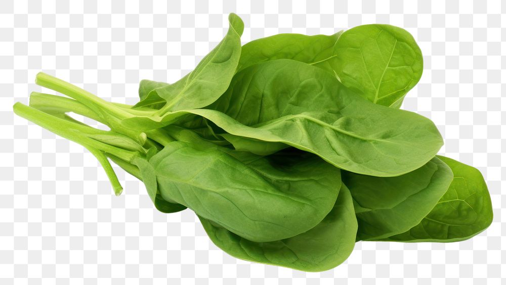 PNG Green spinach leaf vegetable plant food. AI generated Image by rawpixel.