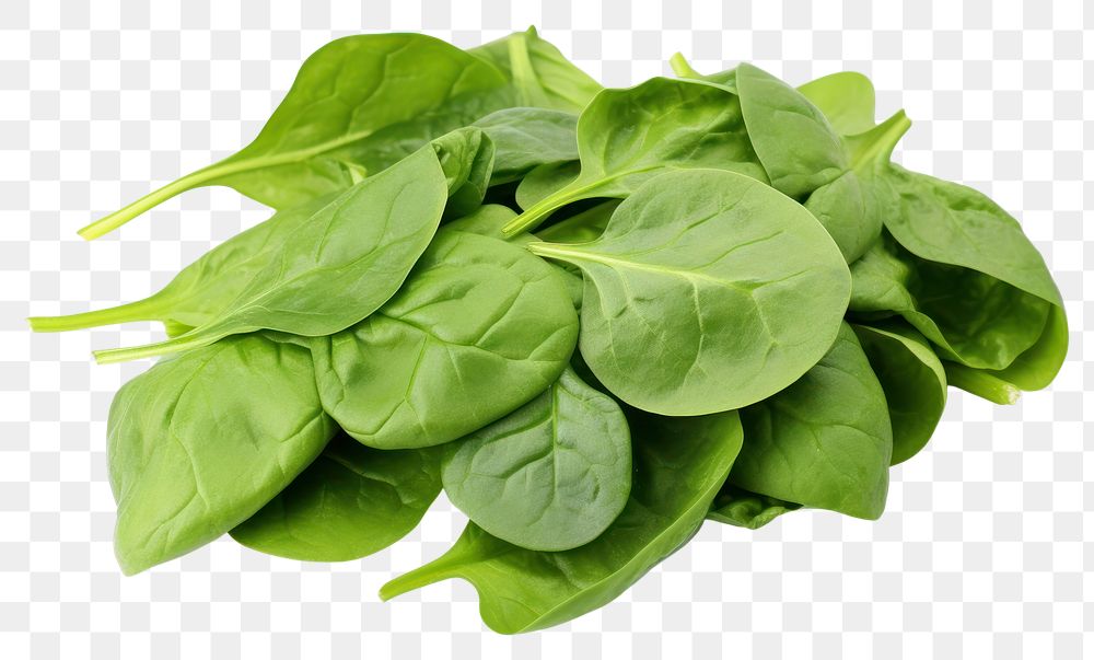PNG Green spinach leaves vegetable plant food. AI generated Image by rawpixel.