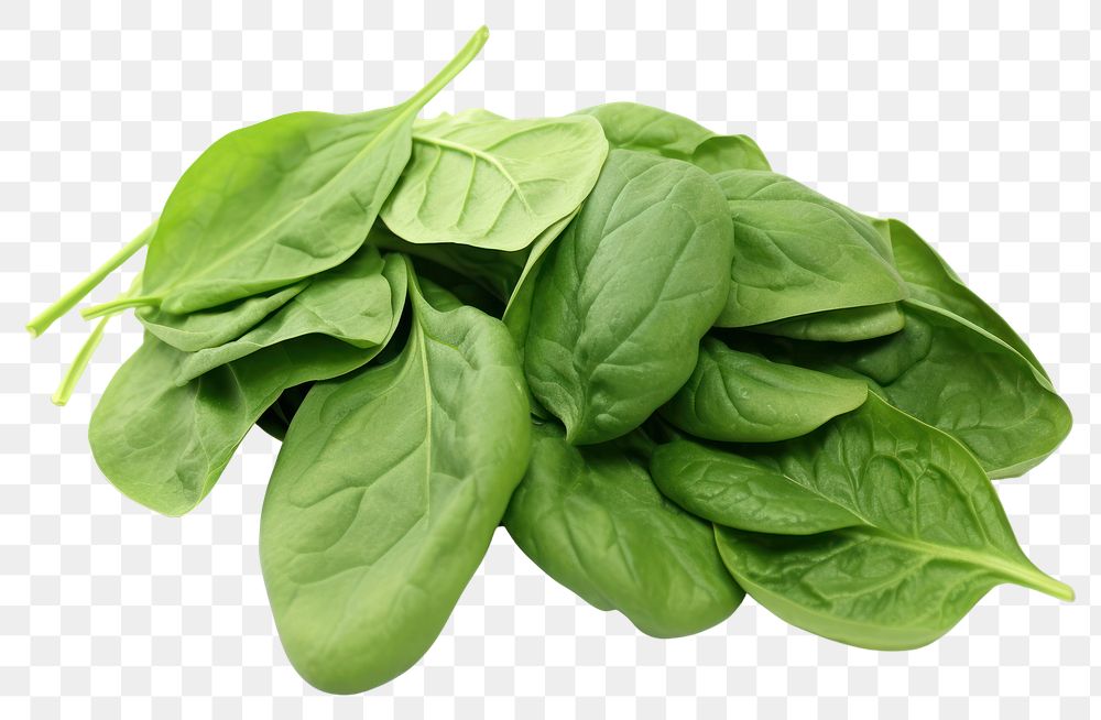 PNG Green spinach leaves vegetable plant food. AI generated Image by rawpixel.