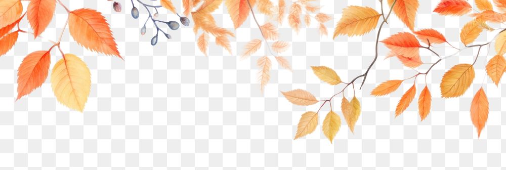 PNG Painting of autumn leaves border backgrounds pattern plant. AI generated Image by rawpixel.