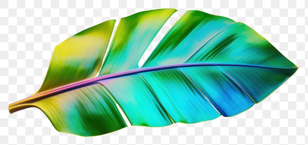 PNG Banana leaf plant petal white background. AI generated Image by rawpixel.