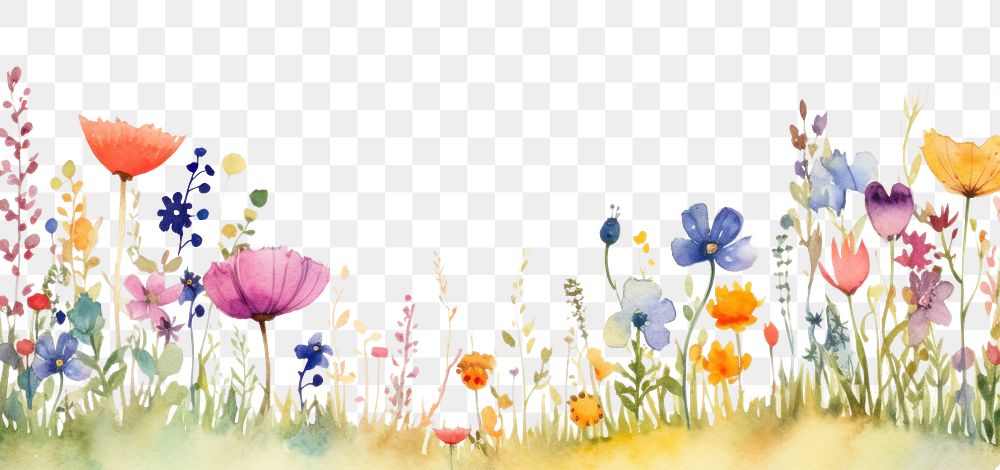 PNG Summer flower field backgrounds outdoors pattern. AI generated Image by rawpixel.