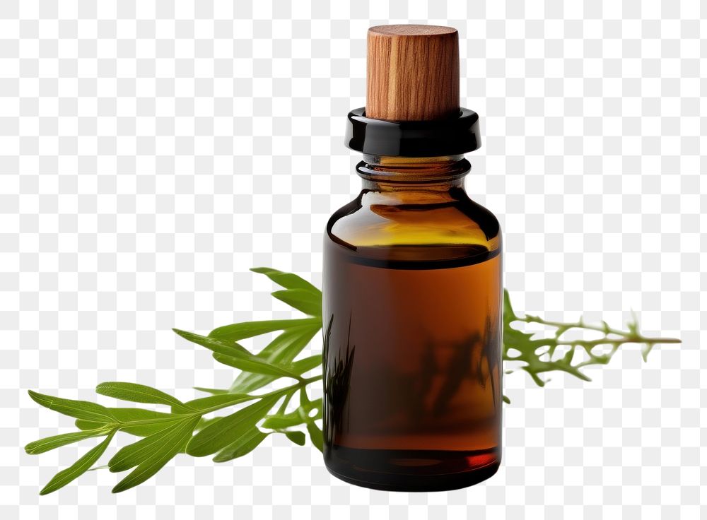 PNG Essential oil bottle perfume plant herbs. AI generated Image by rawpixel.