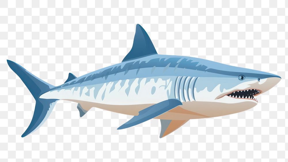 PNG  Shark animal fish white background. AI generated Image by rawpixel.
