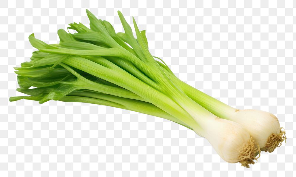 PNG Fresh leek vegetable plant food. AI generated Image by rawpixel.