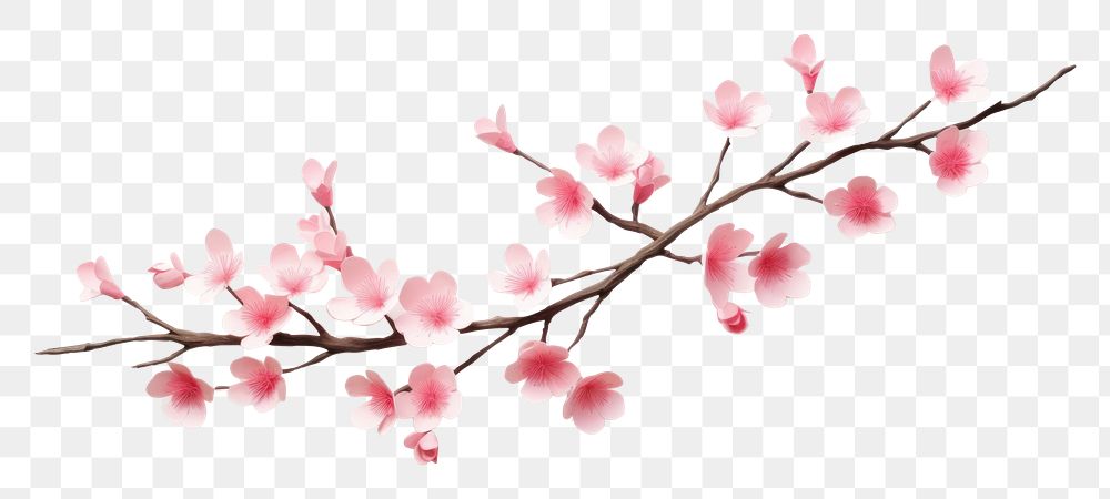 PNG Sakura branch blossom flower plant. AI generated Image by rawpixel.