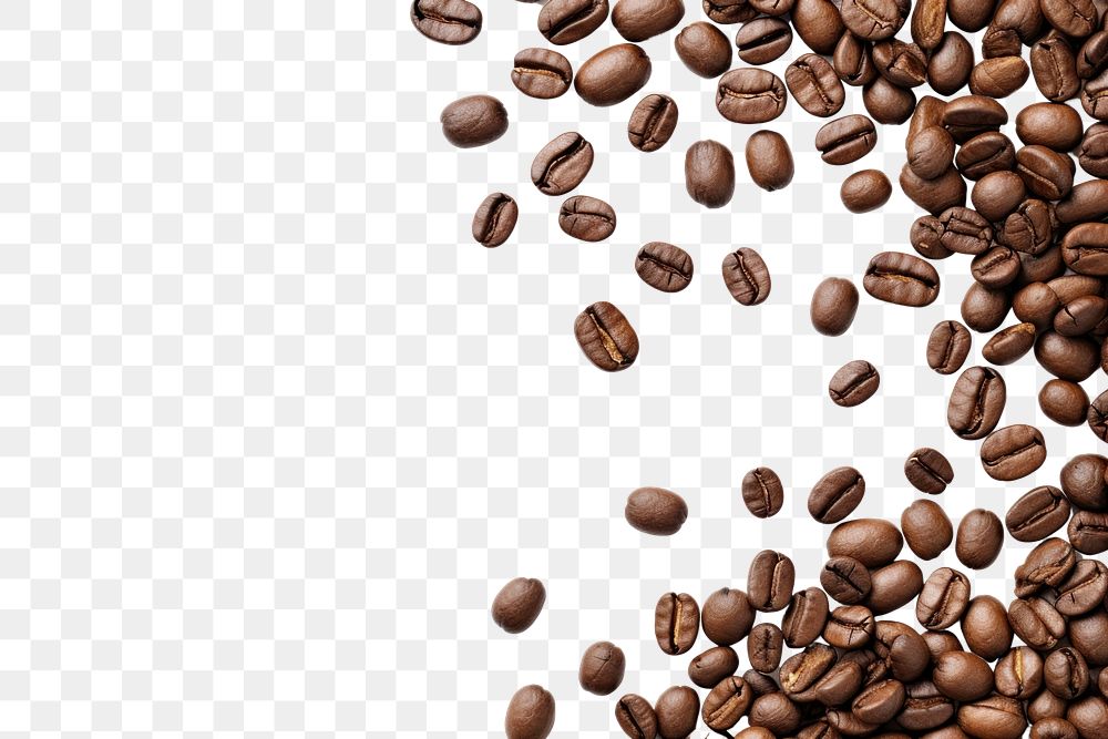 PNG  Coffee beans Scattered backgrounds white background freshness. AI generated Image by rawpixel.
