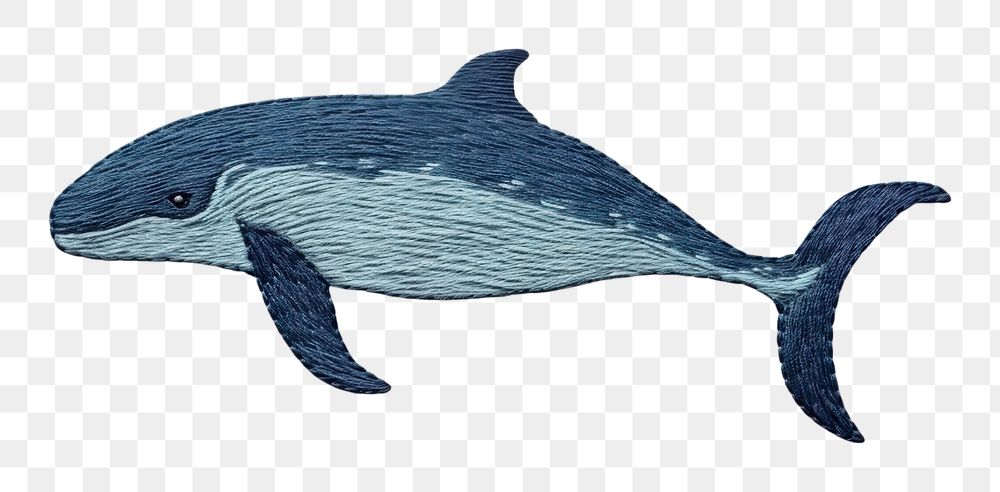 PNG Minimal whale embroidery animal mammal fish. 