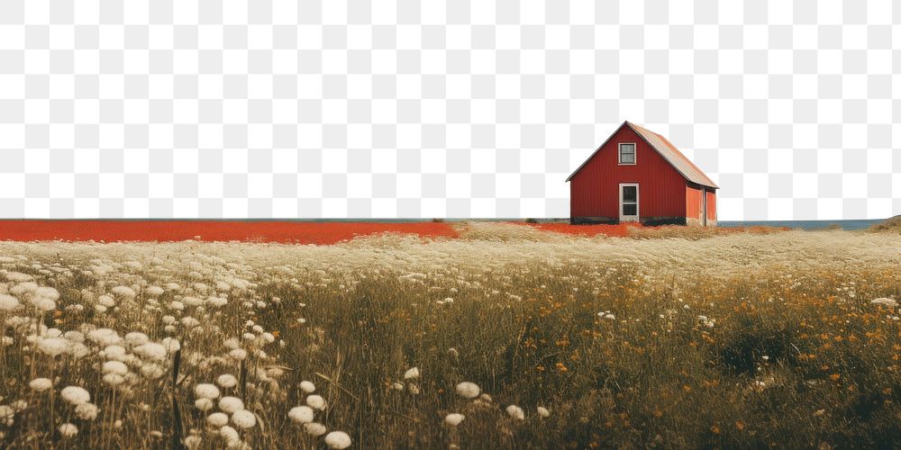 photo of scenery red house with flowers in field, in the style of minimalist backgrounds, lo-fi aesthetics, nature-inspired…