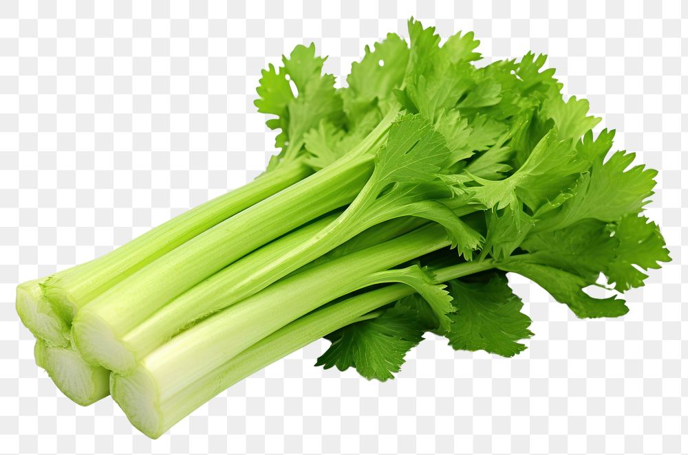 PNG  Fresh green celery parsley plant herbs. AI generated Image by rawpixel.