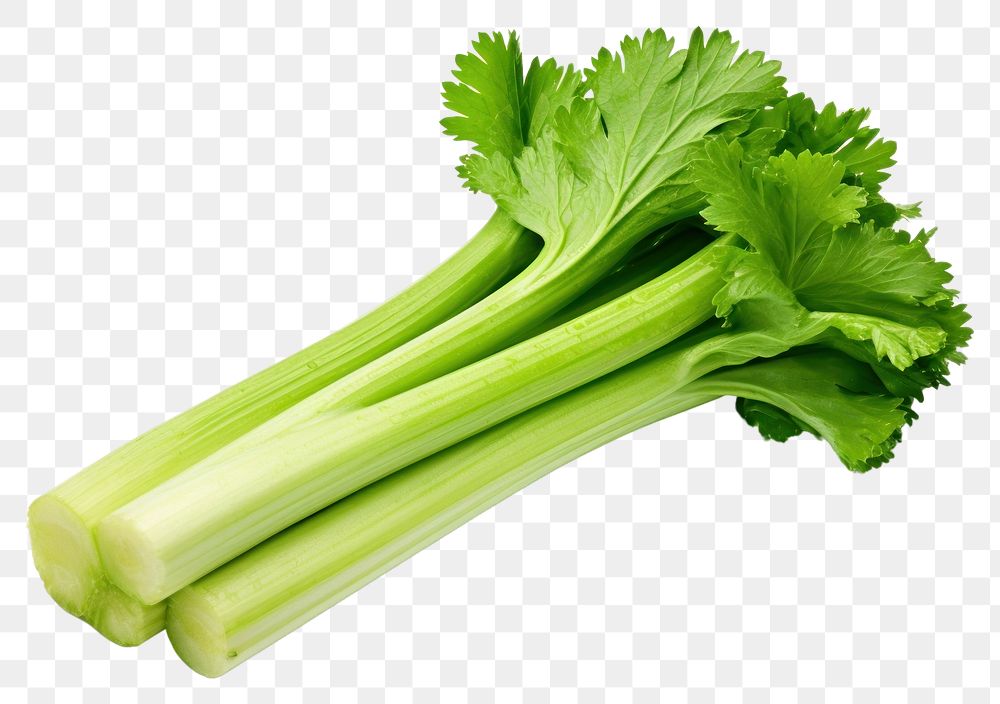 PNG  Fresh green celery vegetable plant herbs. AI generated Image by rawpixel.