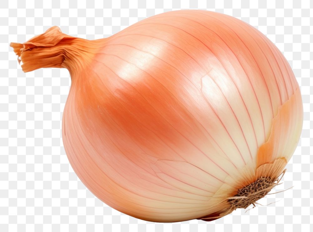 PNG  Onion onion vegetable shallot. AI generated Image by rawpixel.
