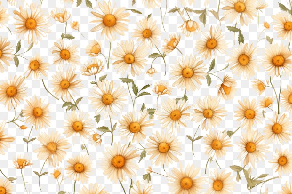 PNG Daisy pattern sunflower plant. AI generated Image by rawpixel.