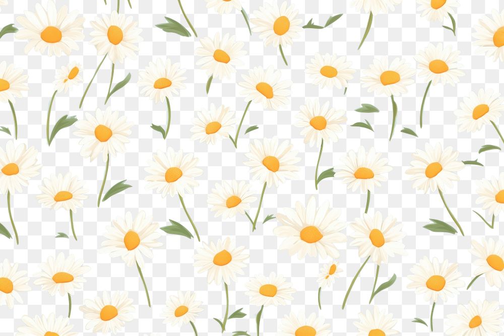 PNG Daisy pattern flower plant. AI generated Image by rawpixel.