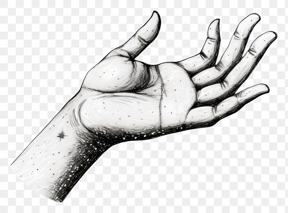 PNG  Drawing finger sketch hand. AI generated Image by rawpixel.