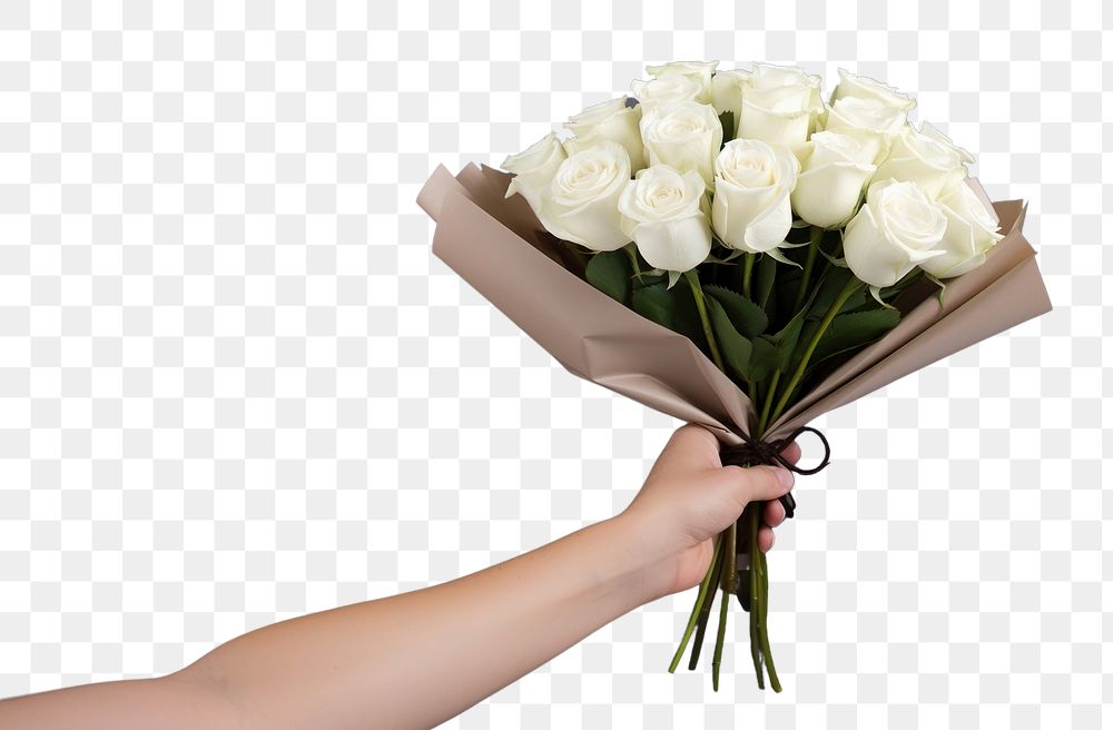 PNG Hand holding white rose flower bouquet plant inflorescence arrangement. AI generated Image by rawpixel.