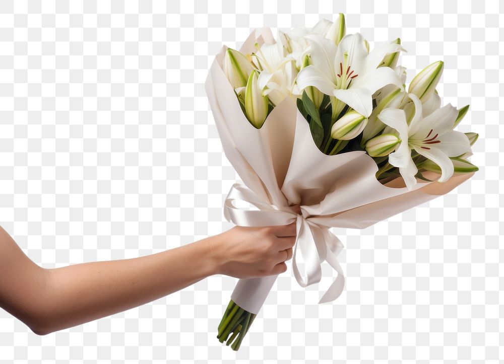 PNG Lily flower wrapped holding. AI generated Image by rawpixel.