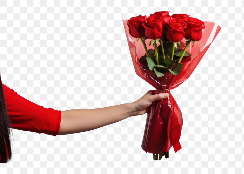 PNG Hand holding red rose flower bouquet wrapped plant adult. AI generated Image by rawpixel.