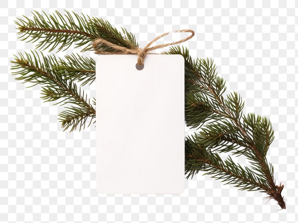 PNG  Gift tag christmas plant tree. AI generated Image by rawpixel.