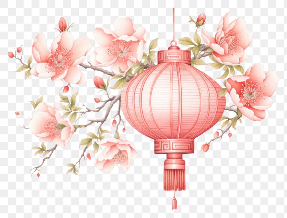 PNG Chinese lantern with flowers plant red architecture. AI generated Image by rawpixel.