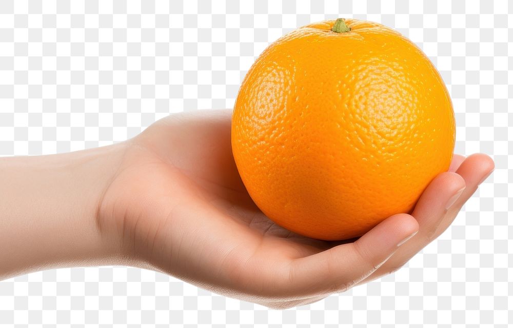 PNG A holding hands holding half an orange grapefruit plant food. AI generated Image by rawpixel.