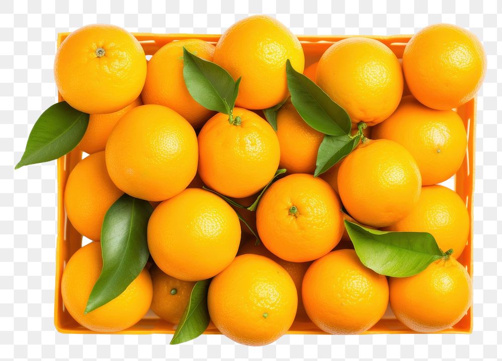 PNG Orange fruits in a box grapefruit lemon plant. AI generated Image by rawpixel.