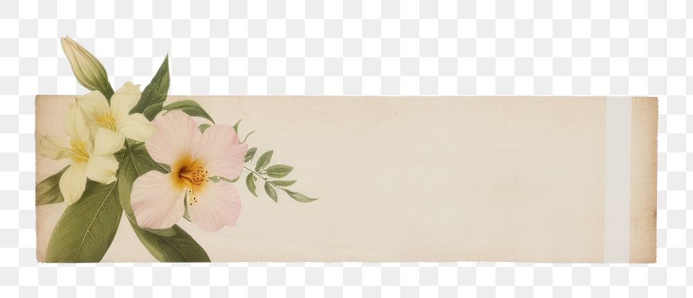PNG Adhesive tape is stuck on the tropical flowers plant art white background. AI generated Image by rawpixel.