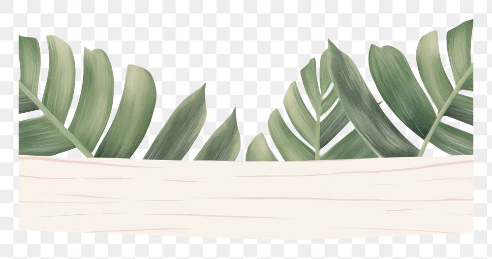PNG Tropical leaves plant leaf backgrounds. AI generated Image by rawpixel.