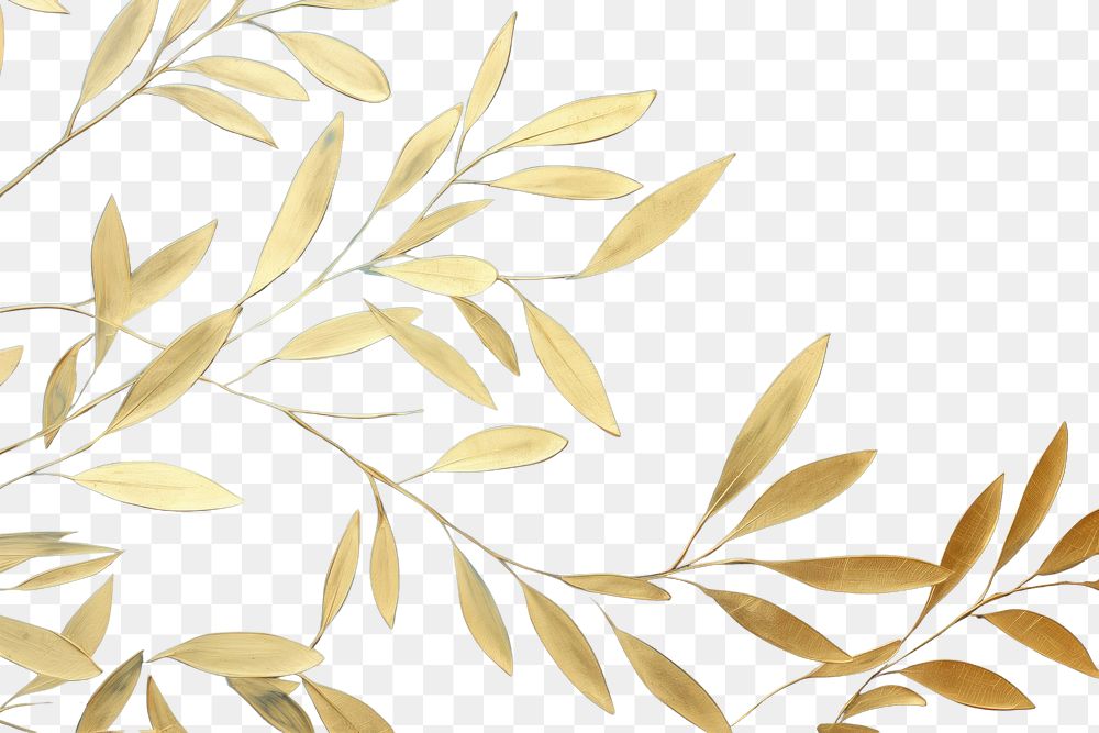 PNG Olive leaf art backgrounds pattern