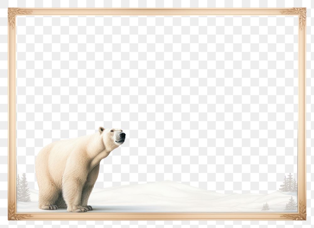 PNG Polar bear wildlife mammal animal. AI generated Image by rawpixel.