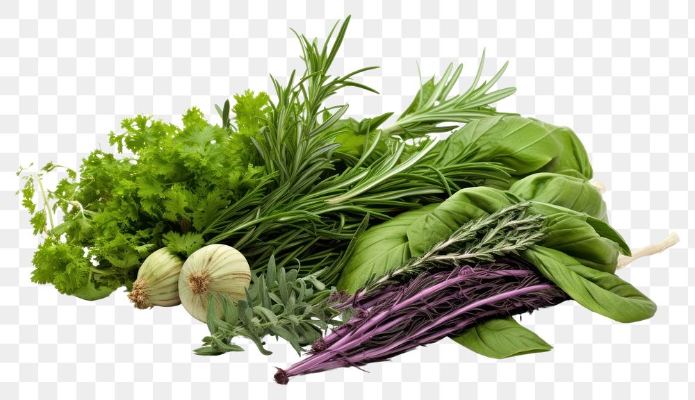 PNG Herbs herbs food vegetable. AI generated Image by rawpixel.