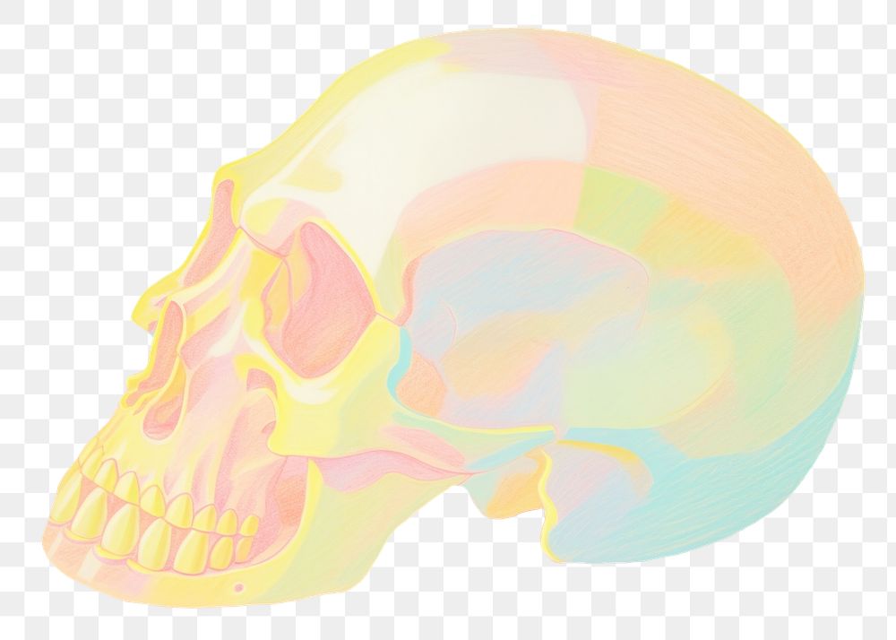 PNG  Skull drawing sketch painting. AI generated Image by rawpixel.