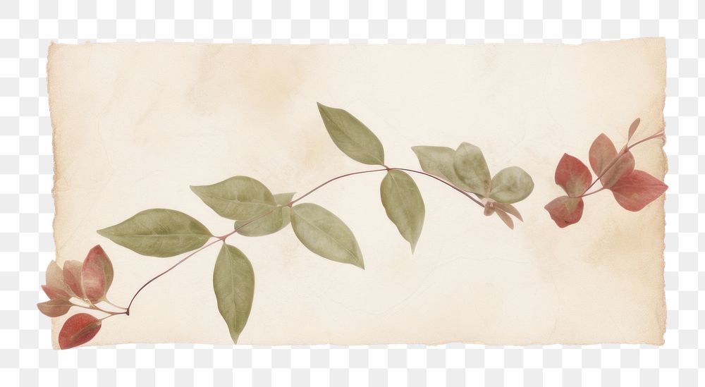 PNG Leaf bougainvillea plant stuck with adhesive tape pattern paper art. AI generated Image by rawpixel.
