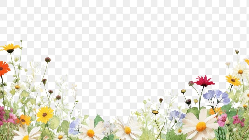 PNG Summer border backgrounds outdoors flower. AI generated Image by rawpixel.