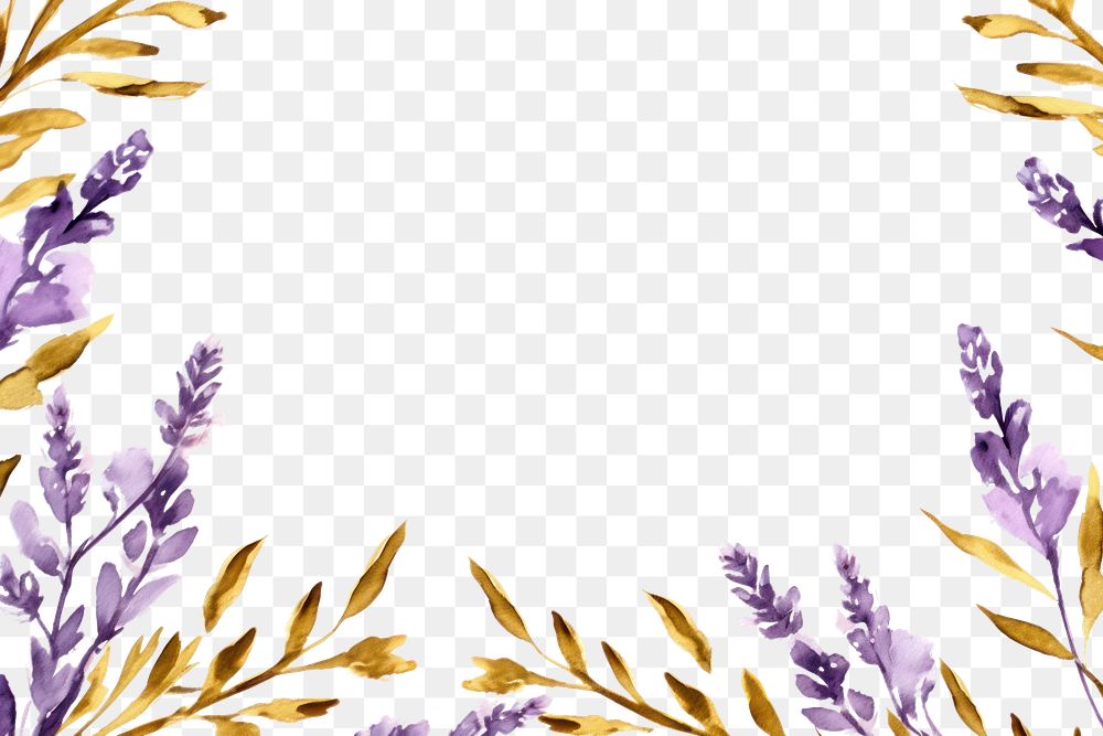 PNG Lavender flower border frame backgrounds pattern purple. AI generated Image by rawpixel.