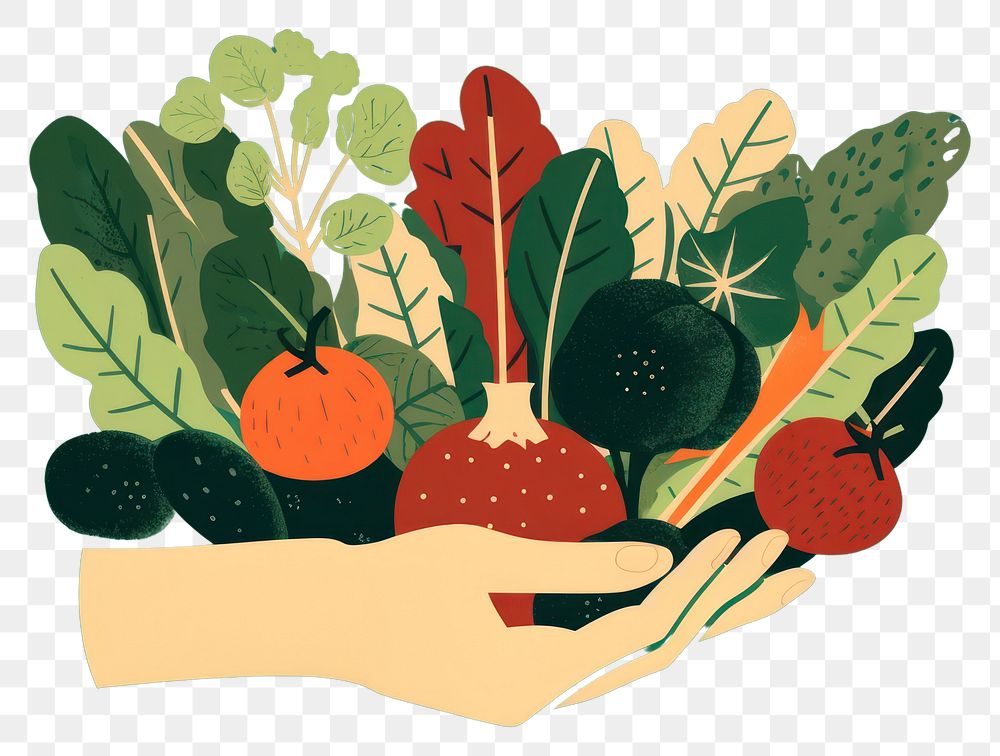 PNG  Hands holding vegetables graphics radish plant. AI generated Image by rawpixel.