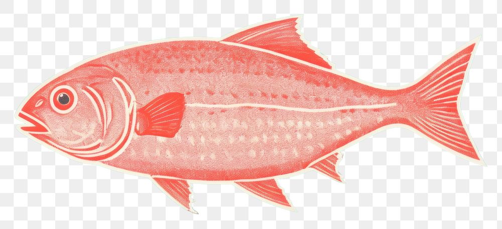 PNG Tuna fish seafood animal goldfish. AI generated Image by rawpixel.