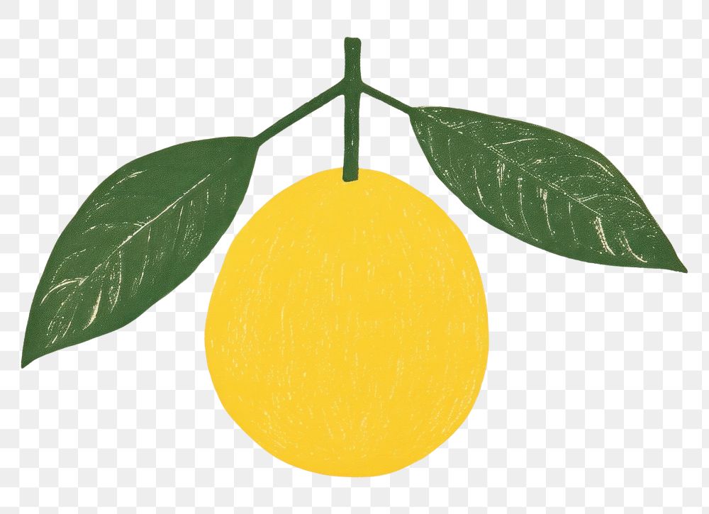 PNG Lemon tree grapefruit plant food. AI generated Image by rawpixel.