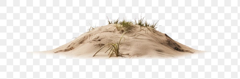PNG Beach border outdoors nature sand. AI generated Image by rawpixel.