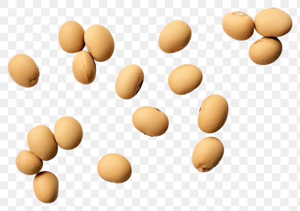 PNG Several soy bean pill food egg