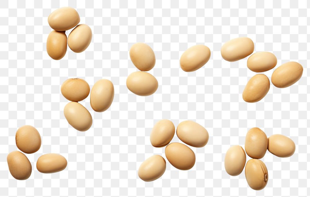 PNG Several soy bean pill food white background. AI generated Image by rawpixel.