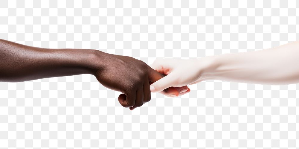 PNG Two hands touching adult white background agreement. AI generated Image by rawpixel.