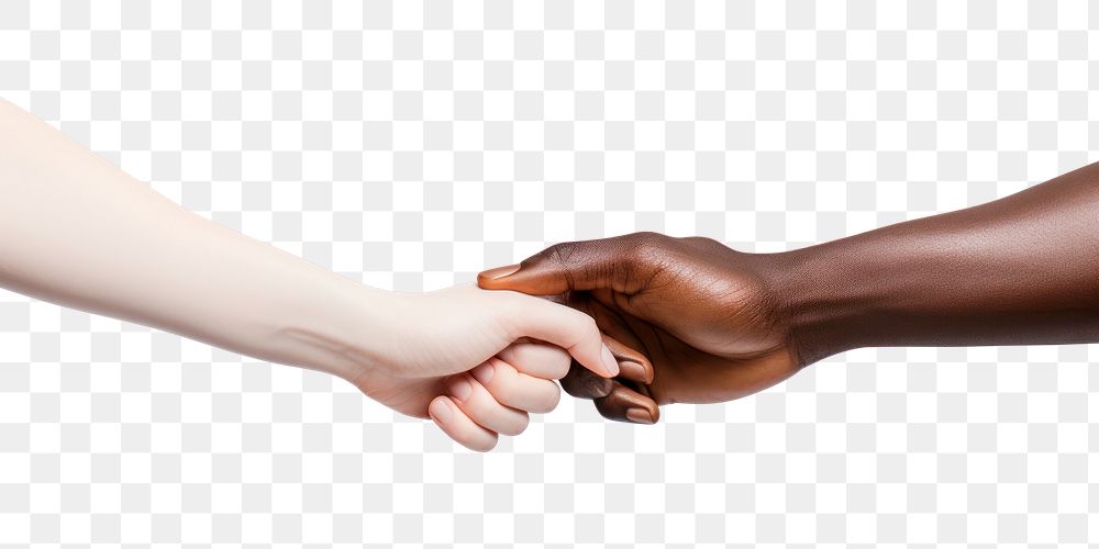 PNG Two hands touching white background togetherness agreement. AI generated Image by rawpixel.