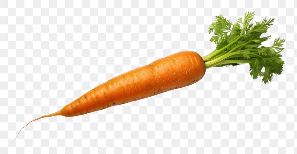 PNG 1 carrot vegetable plant food. AI generated Image by rawpixel.