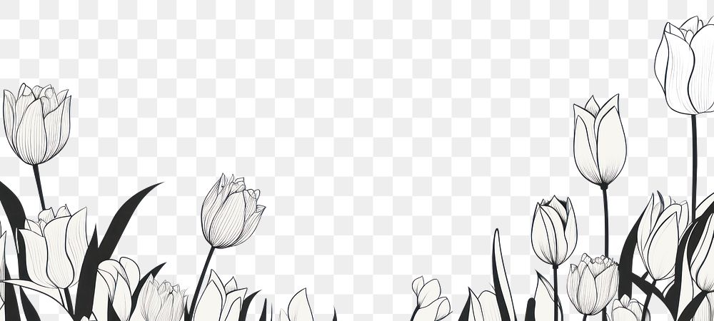 PNG Tulips backgrounds drawing flower. AI generated Image by rawpixel.