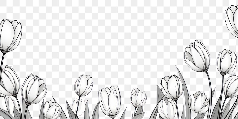 PNG  Tulips backgrounds drawing flower. AI generated Image by rawpixel.