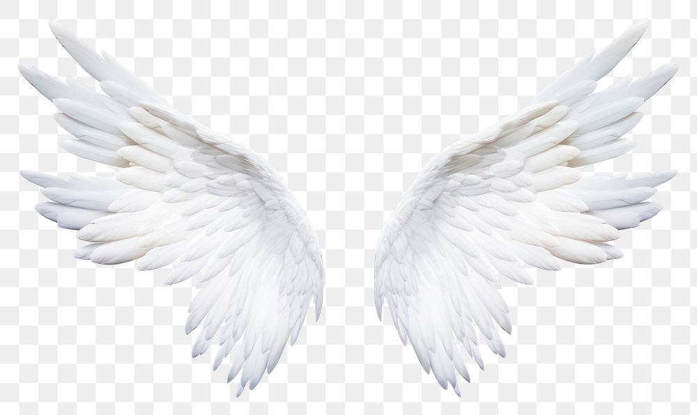 PNG  Pair of angel wings flying white white background. AI generated Image by rawpixel.