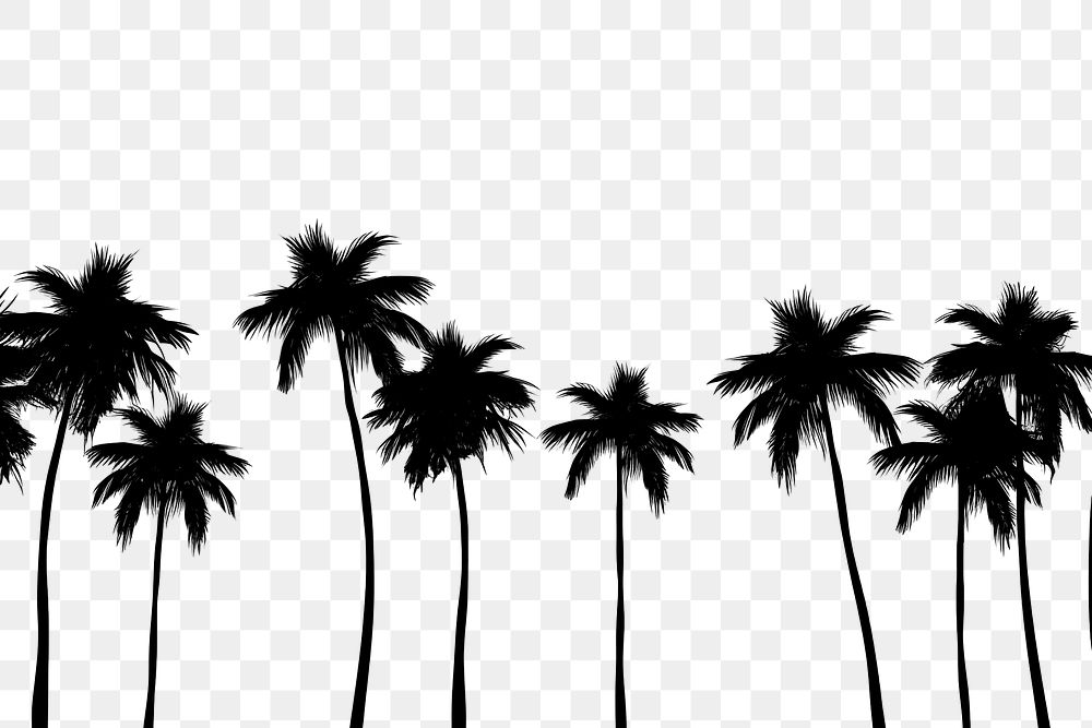 PNG  Palm trees backgrounds silhouette outdoors. AI generated Image by rawpixel.
