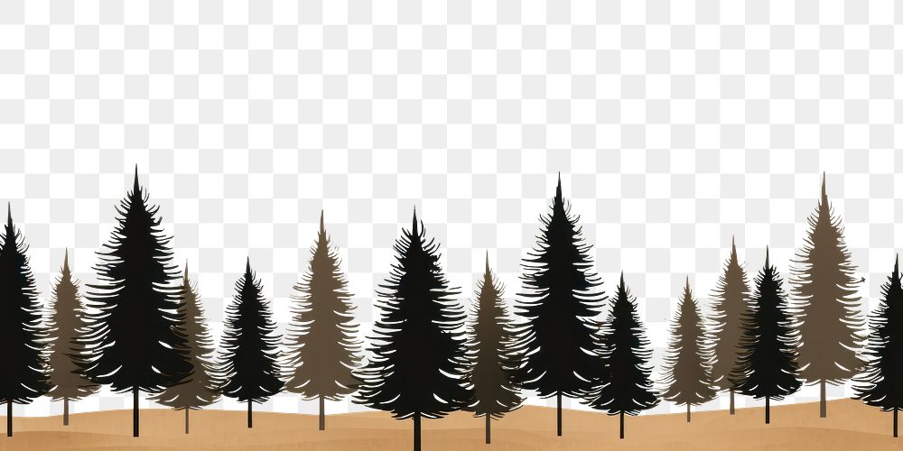 PNG Pine tree outdoors plant fir. AI generated Image by rawpixel.