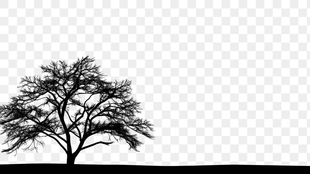 PNG  Tree scene silhouette landscape outdoors. AI generated Image by rawpixel.
